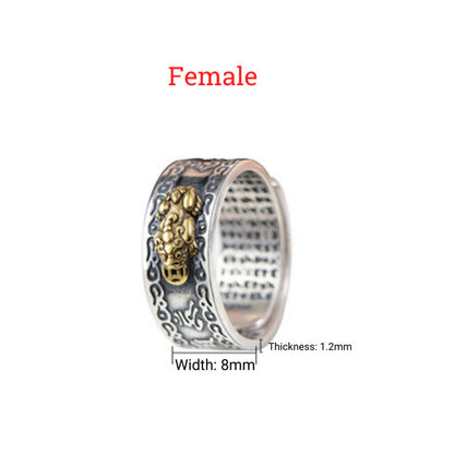 Buddha & Karma Feng Shui Pixiu Mantra Ring - Wealth & Protection
