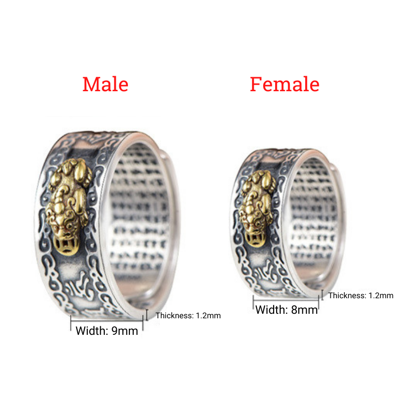 Buddha & Karma Feng Shui Pixiu Mantra Ring - Wealth & Protection